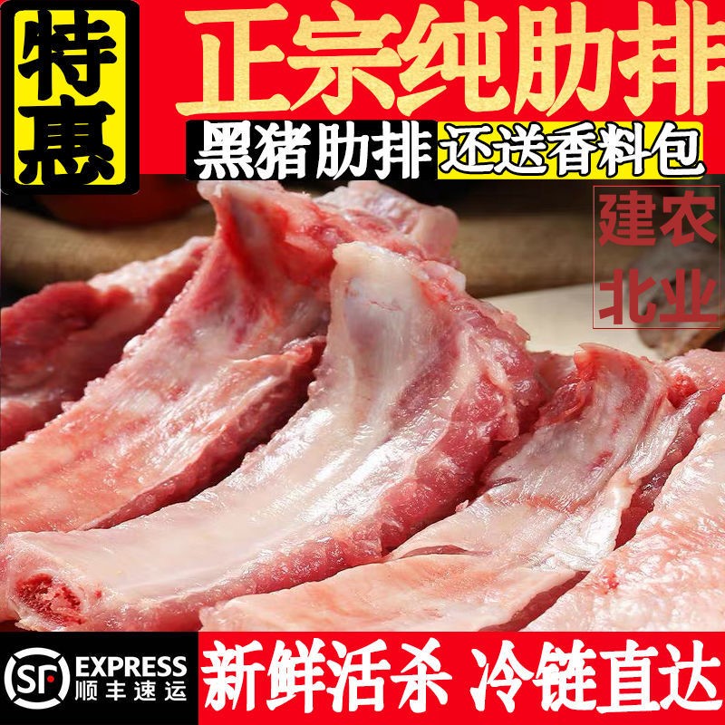 西捷西班牙伊比利亚黑猪肋排肉猪脊排烧烤新鲜猪排骨冷冻烤肉食材