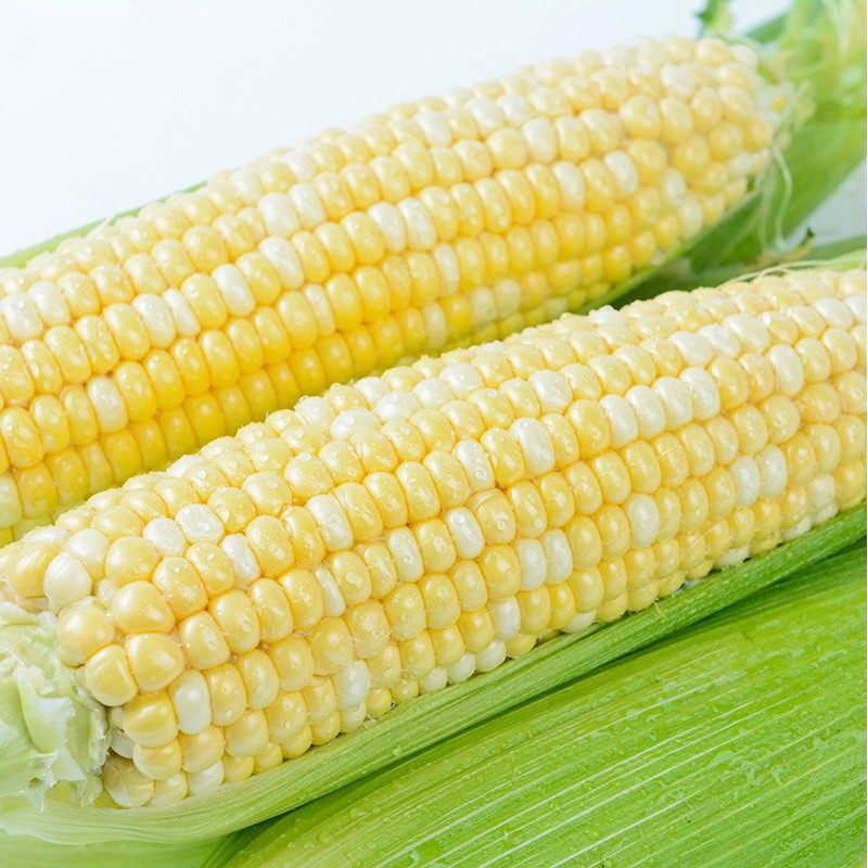 斤净重云南水果玉米新鲜甜脆玉米农家现摘即食生吃嫩玉米棒特产优惠券