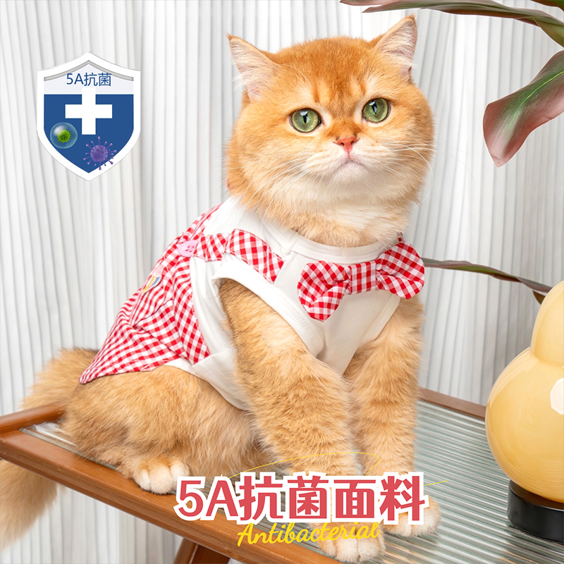 猫咪衣服夏天薄款防掉毛凉感抗菌幼猫小猫背心金渐层布偶公主裙