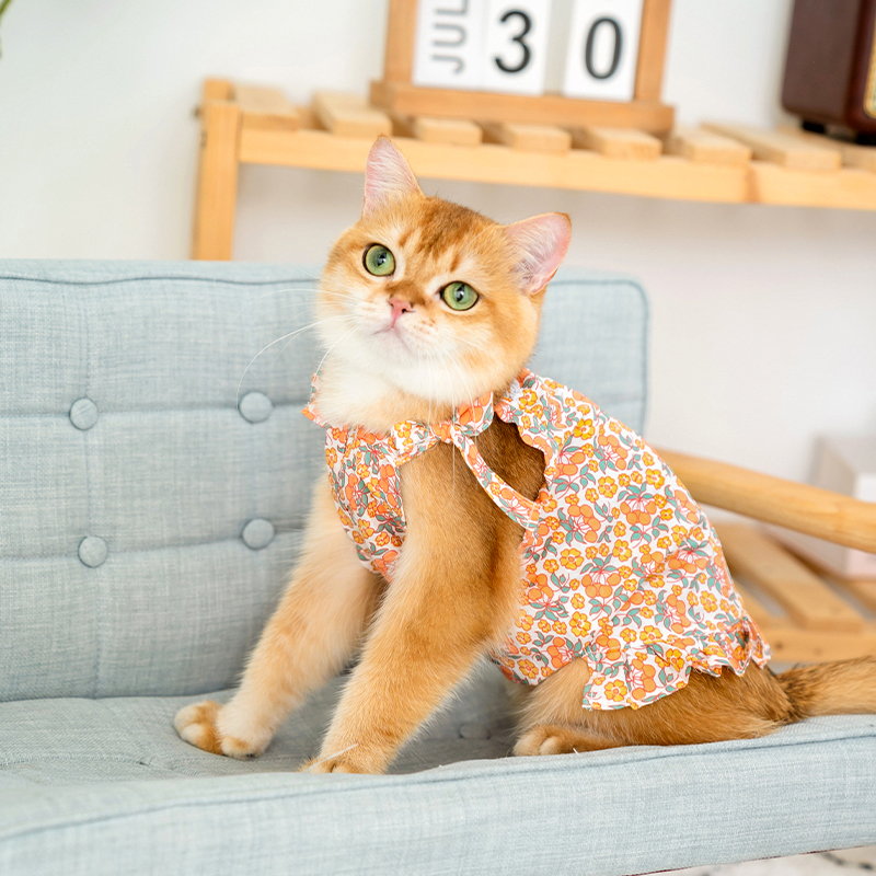 猫咪衣服夏天猫衣服薄款夏季宠物衣服小猫猫猫幼猫碎花公主裙布偶