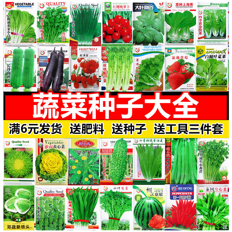 蔬菜种子大全图片及价图片