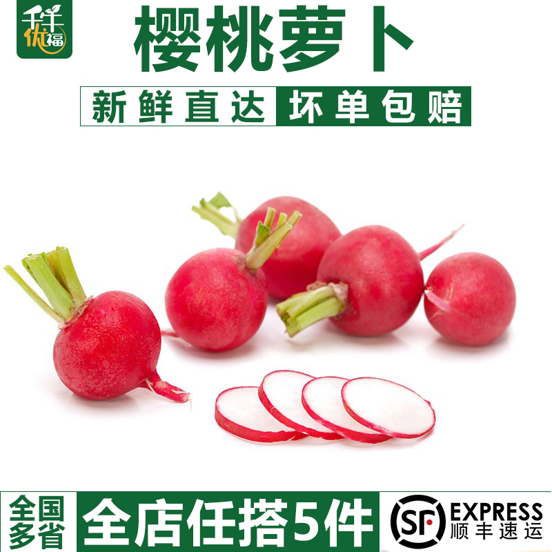 【千牛优福】樱桃萝卜500g 迷你小红萝卜 菜新鲜蔬菜小圆萝卜