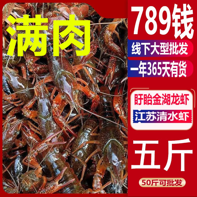 789钱小龙虾鲜活5斤装特大新鲜活虾江苏清水虾稻田虾生鲜顺丰发货