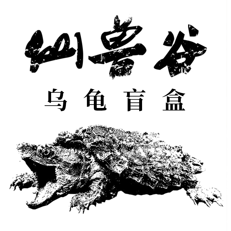 盲盒乌龟龟盲盒龟蛋龟龟墨西哥龟鳄龟圆澳龟玩具龟