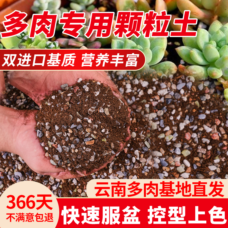 多肉土颗粒土专用营养土肉肉植物种植