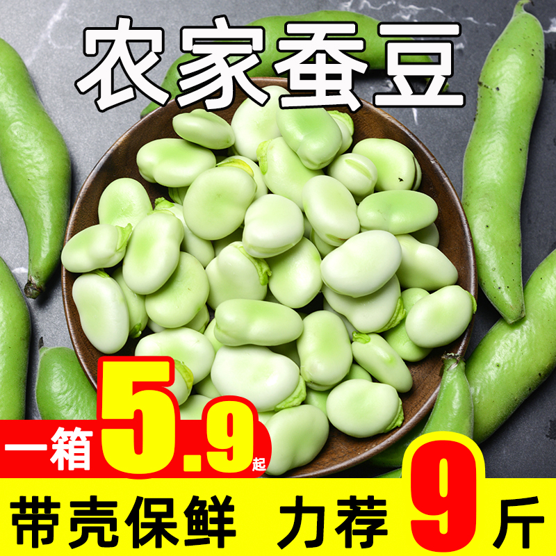 陕西胡豆新鲜现摘带壳蚕豆当季农家蔬