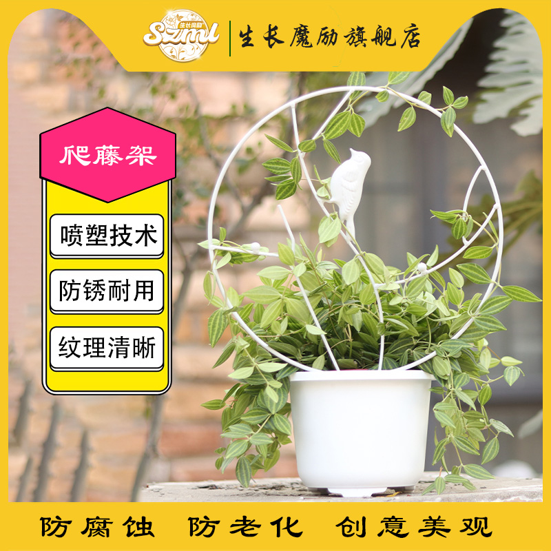 生长魔励盆栽藤蔓植物造型花架铁艺铁