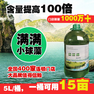 好润小球藻浓缩藻种肥水培藻增氧水产养殖小球藻卵囊藻种5L×4瓶