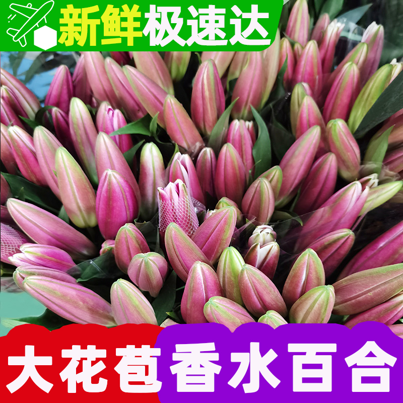 百合花鲜花云南基地直发玫瑰鲜切花批发水养客厅家具插花速递同城