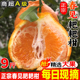 四川特级春见耙耙柑粑粑柑10斤橘子甜当季整箱新鲜水果丑柑桔包邮