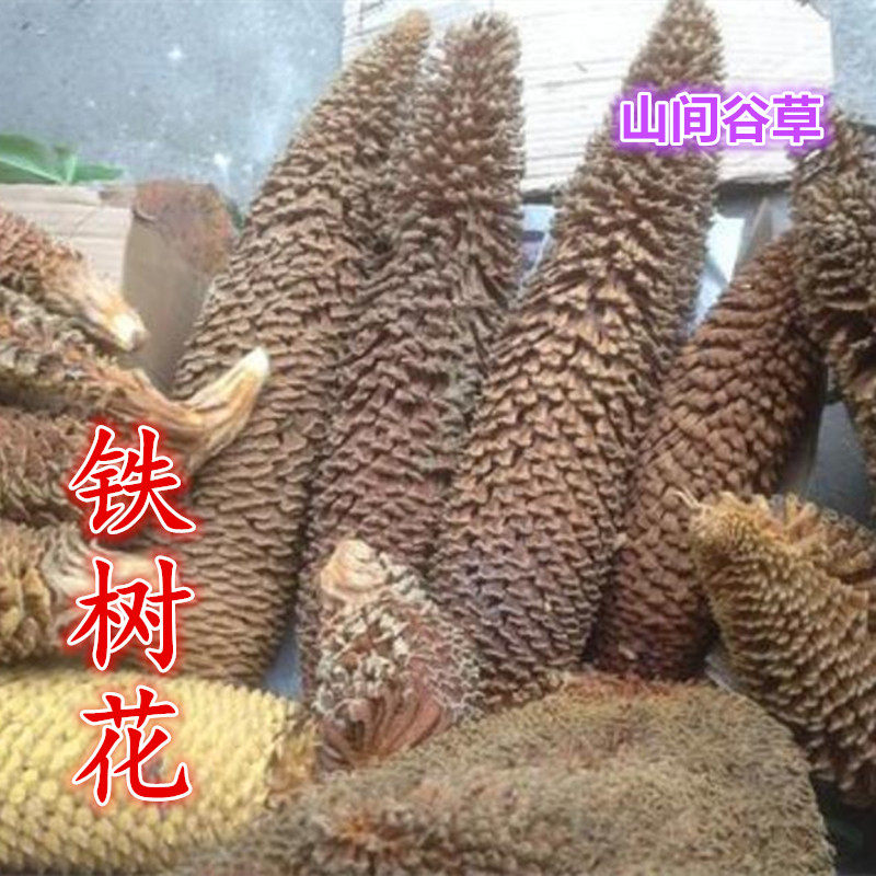 铁树花