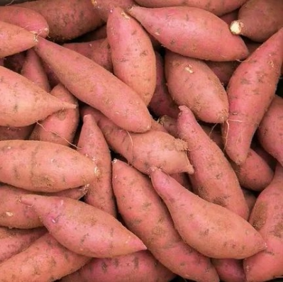 沙地蜜薯5斤番薯山芋