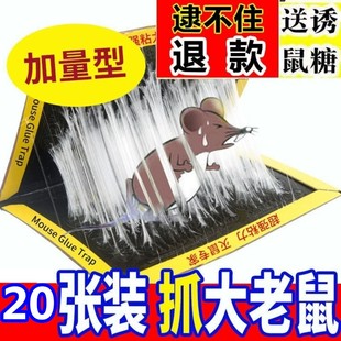 强力粘鼠板老鼠贴粘鼠板超灭鼠魔毯捕鼠神器鼠夹驱鼠家用一窝端