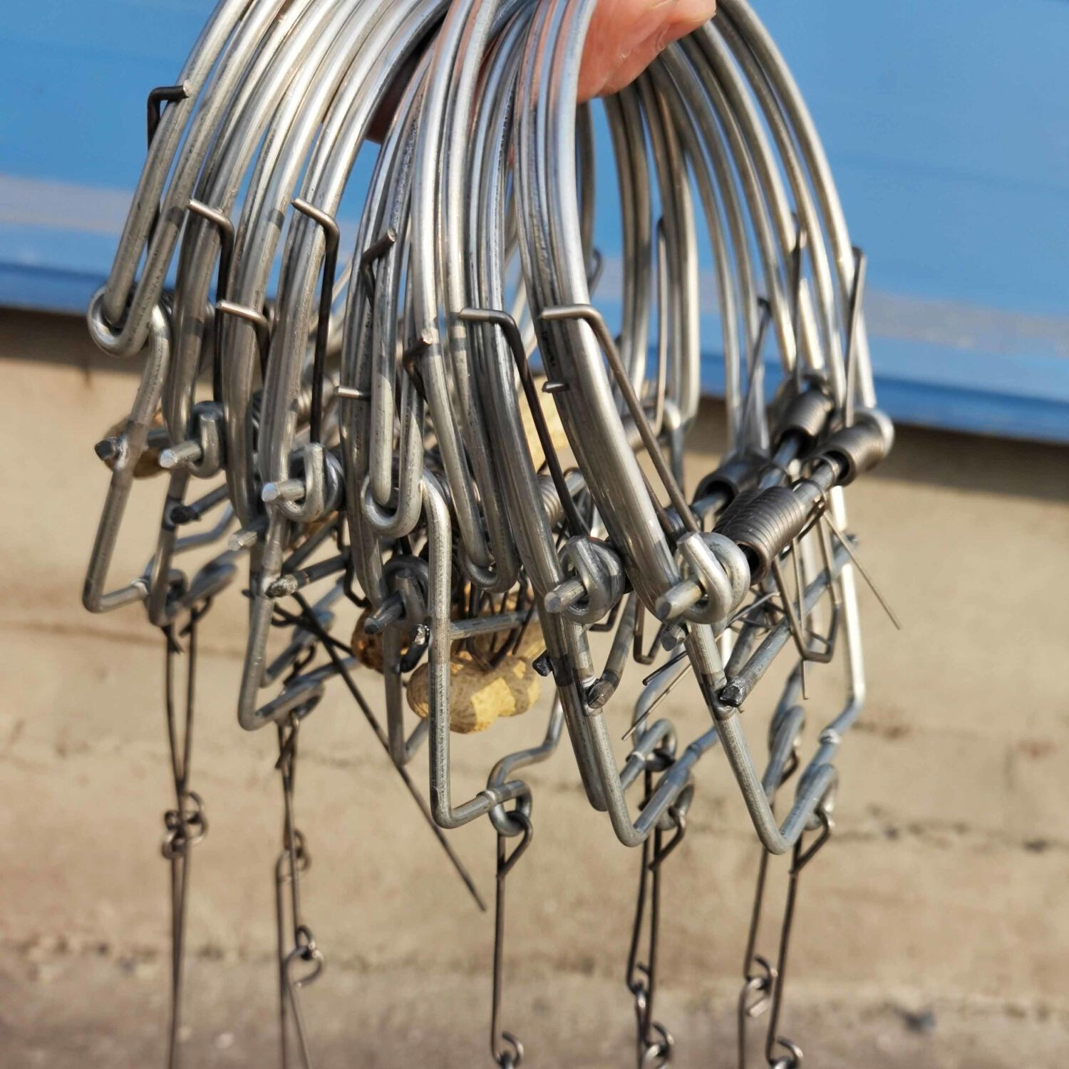 老鼠夹子铁夹圆形