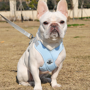 宠物狗狗牵引绳胸背带中小型犬法斗柴犬柯基可调节背心式遛狗绳子