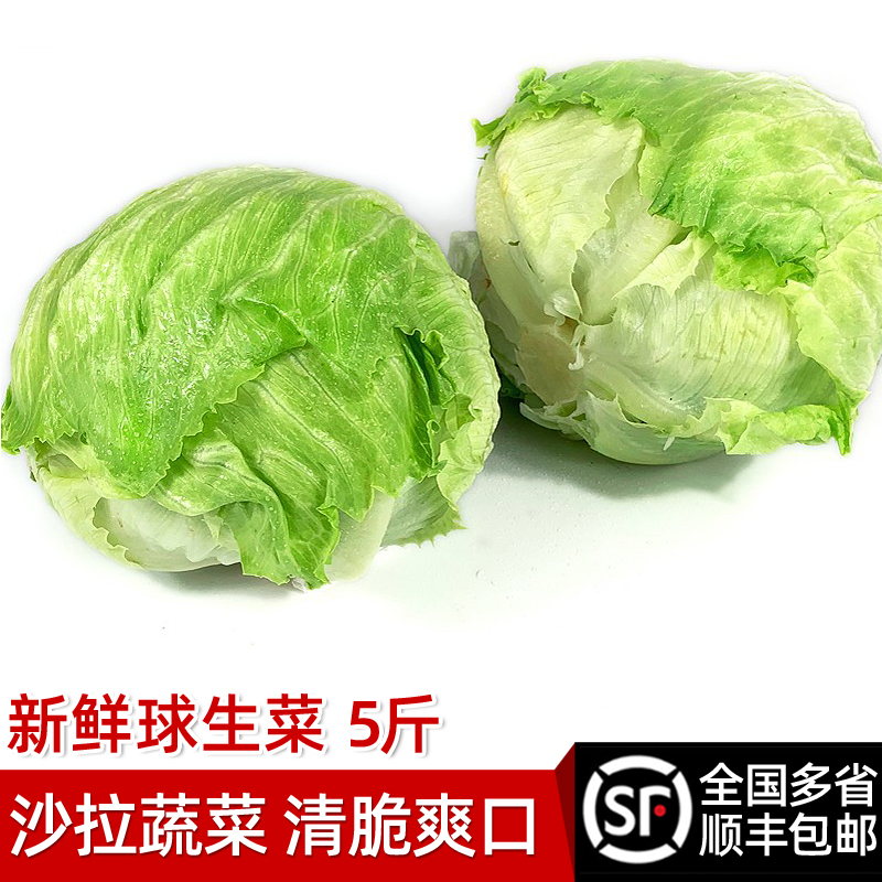 绿食者 球生菜5斤 新鲜蔬菜汉堡用圆生菜球型西生菜沙拉色拉食材