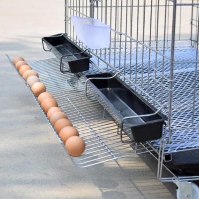 蛋鸡笼圈养鸡舍设备适用于养鸡场鸟套圈畜禽鸡棚围笼户外新款笼子