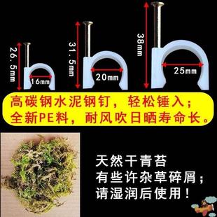 现货速发蔷薇花爬藤固定器月季爬墙钢钉卡扣植物枝条墙面牵引固定