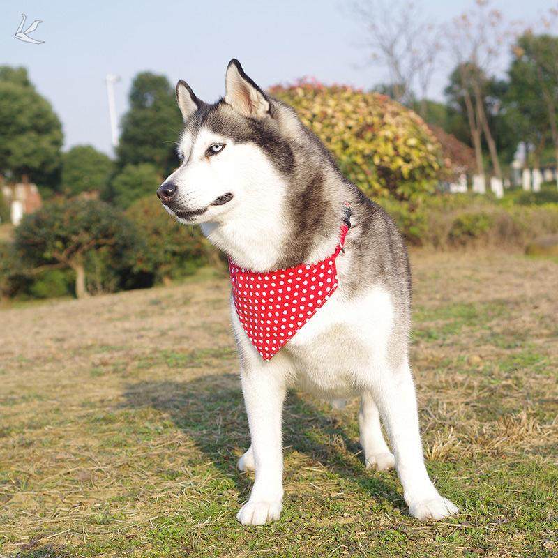 口水狗狗围脖大狗金毛围巾哈士奇三角加厚方巾围巾