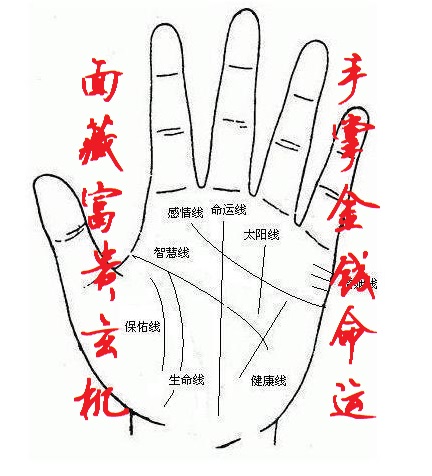 看手相掌纹面相八字预测算看痔婚姻合婚感情事业财运算命算卦占卜