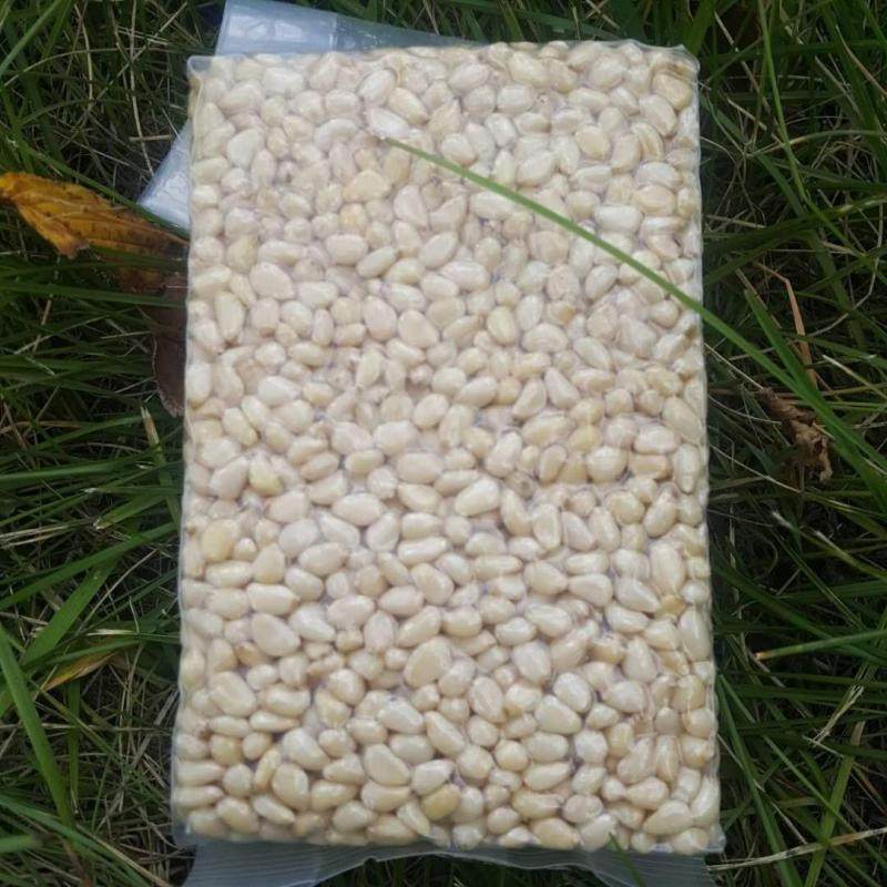 散装东北大兴安岭晾晒野马尾籽偃松仁子原味生250g坚果零食坚果