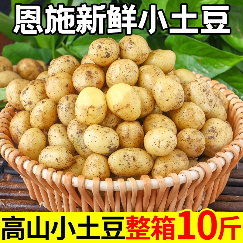 恩施小土豆现挖湖北新鲜黄心土豆10