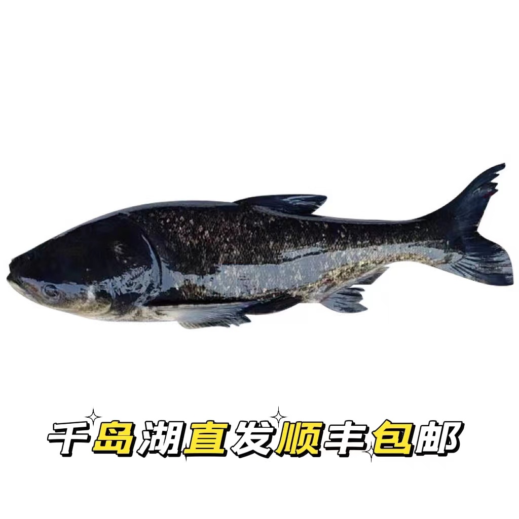 千岛湖活鱼