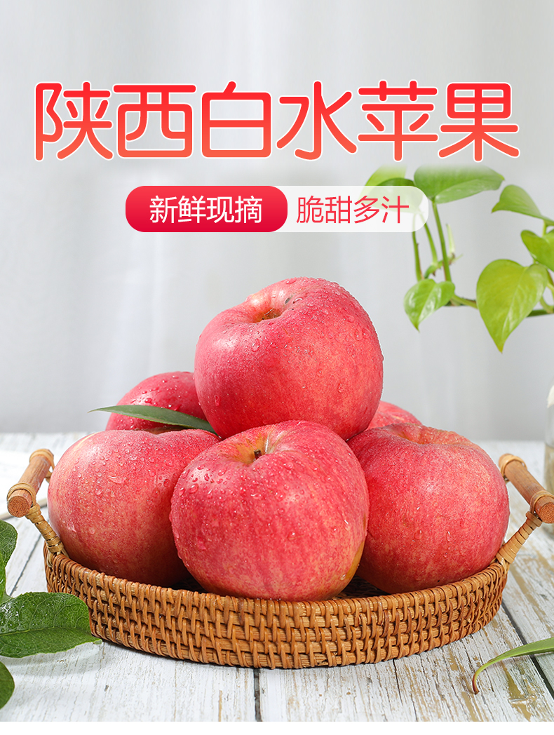 陕西白水红富士苹果中果24枚30枚装脆甜多汁新鲜苹果水果10斤