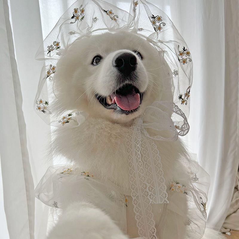 宠物狗狗中大型犬春夏冬衣服薄款婚纱西装婚纱礼服结婚萨摩金毛