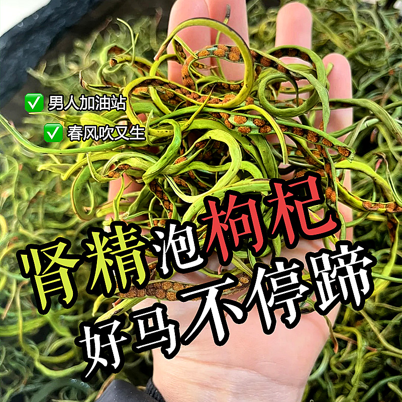 肾精茶长白山野生化石草黄金草东北大