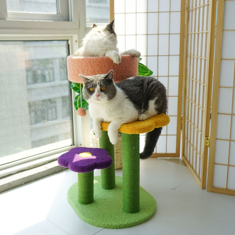 新花朵猫爬架猫窝猫树一体小型猫跳台抓柱麻绳网红四季通用猫咪.