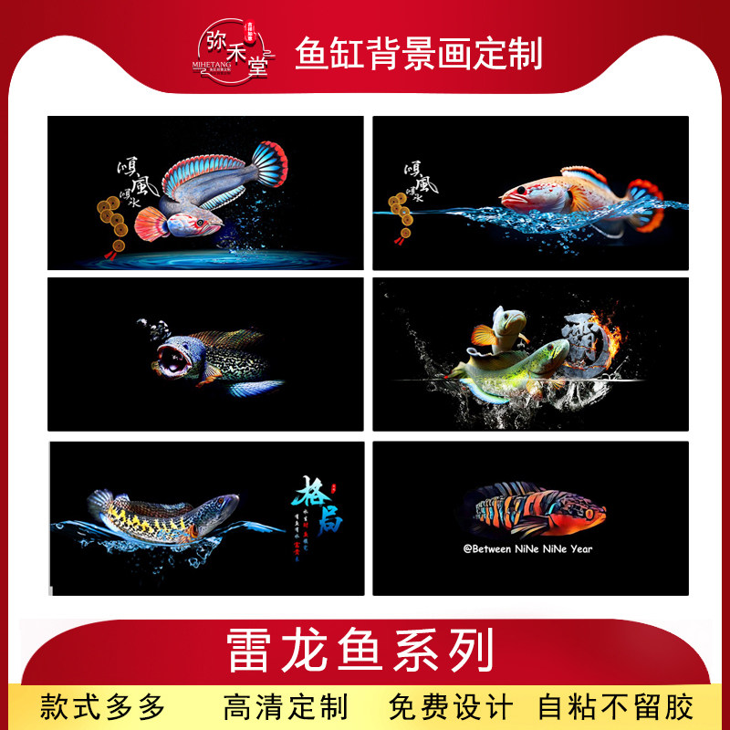 鱼缸背景画雷龙鱼眼镜蛇巴卡贴纸高清定制亚马逊水族造景外贴自粘