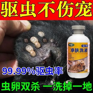 宠物狗狗猫咪除蜱虫药浴跳蚤虱子螨虫体外驱虫杀虫不伤体净肤洗液