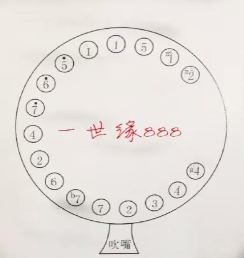 高档专业演奏笙精致17红木簧扩音笙242.0806242.