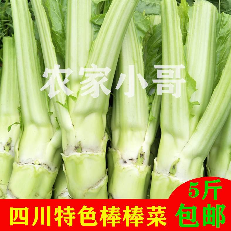 四川特产新鲜棒棒菜脑壳菜芥菜头笋子青菜头大叶青菜蔬菜5斤包邮