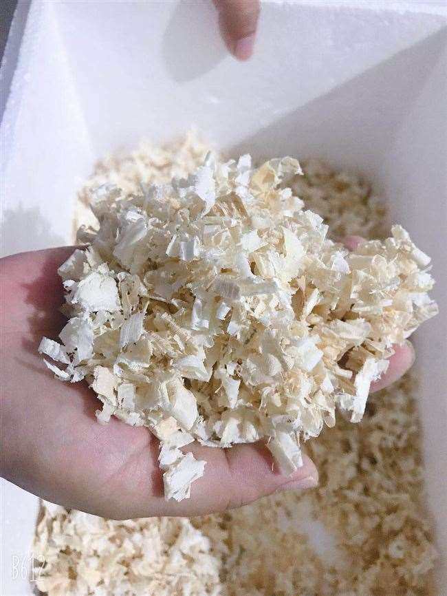 特价刨花 木屑 10斤
