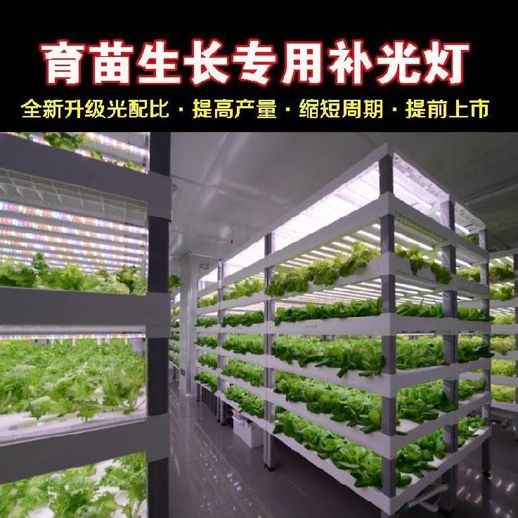 补光育苗led植物灯补光灯生长灯灯光谱灯管led灯管