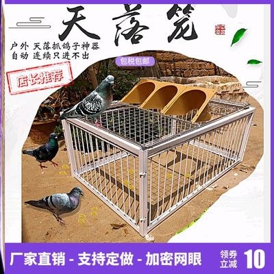 信鸽用品用具鸽子跳笼门图片
