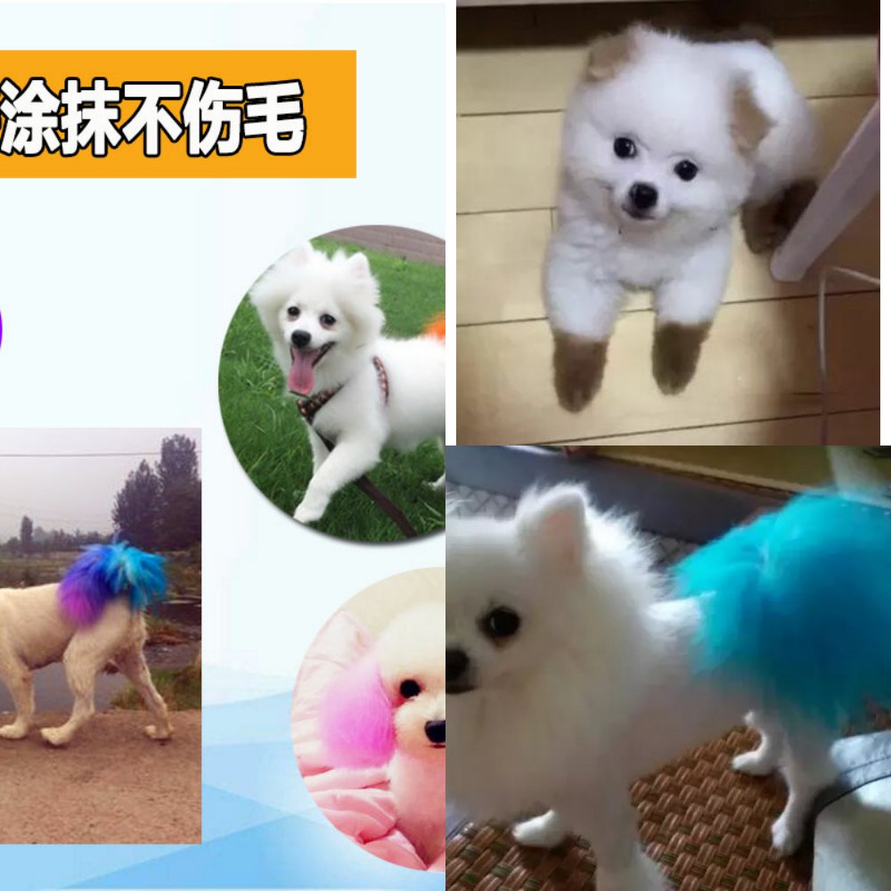 狗狗宠物专用狗毛染色剂染毛染发剂比熊染毛彩色美容剪