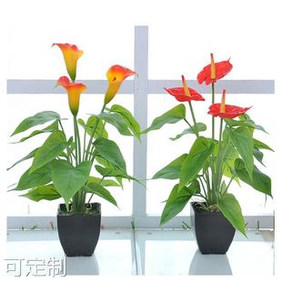 仿真花马蹄莲红掌客厅装饰花塑料花仿真盆栽盆景摆件摆设假花盆栽