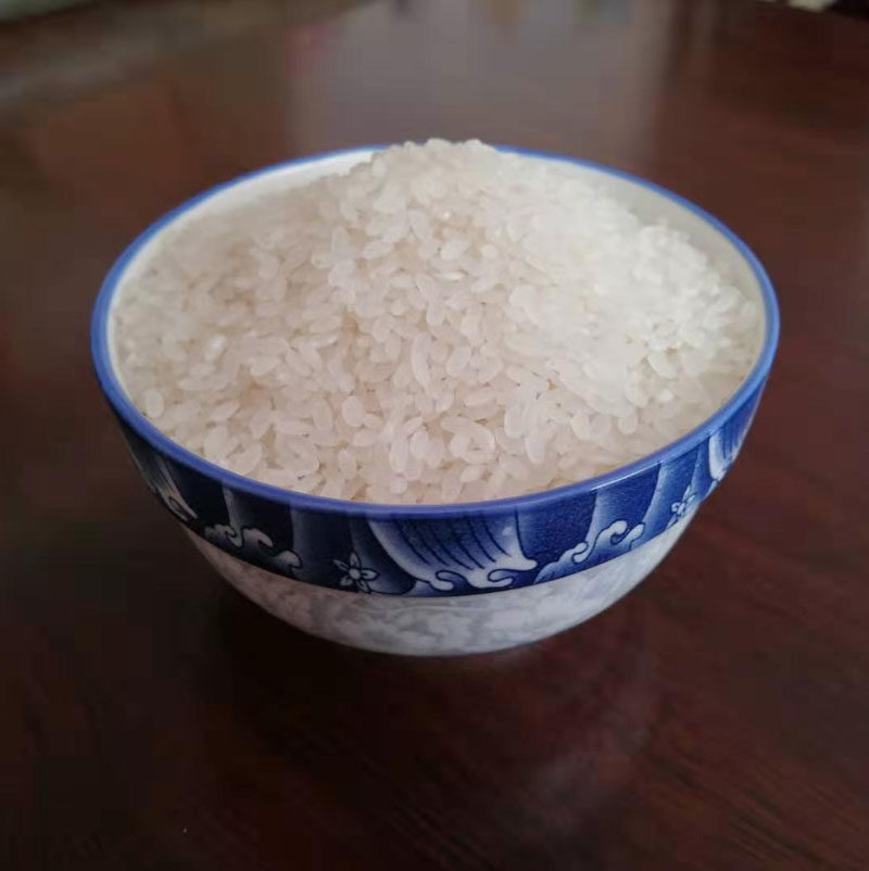 米谷淳香新东北黑龙江哈尔滨通河大米10斤5kg农家包邮长粒香粳米