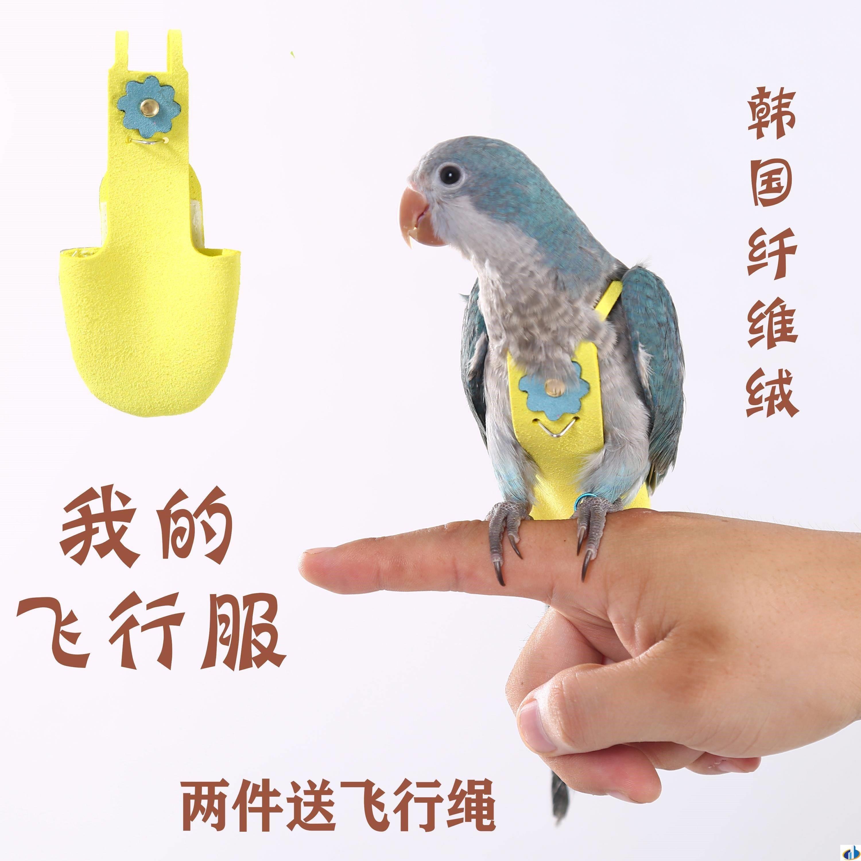鹦鹉尿不湿鹦鹉衣服宠物鸟鸭可爱飞行服屎斗鸟尿不湿尿布鹦鹉尿布