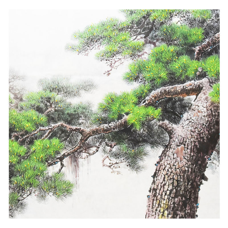 (朝鲜)功勋级方善姬 《松树系列1》 万寿台-【锦绣山】