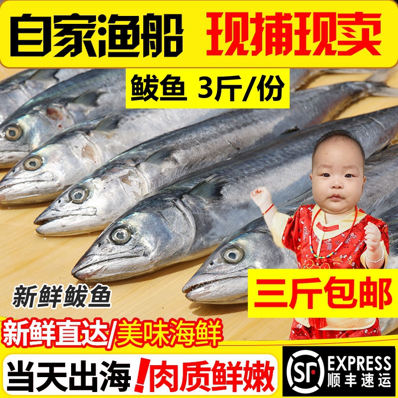 鲅鱼新鲜鲜活海捕包邮冷冻水产深海燕尾鲅青岛大鲅鱼马鲛鱼3斤|ruв категории водной мясо/свежие фрукты и овощи/еда, морепродукты/водные продукты/изделия, морепродукты и рыба, макрель - от Buy2taobao.com для оказания профессиональной услуги покупки агента Taobao