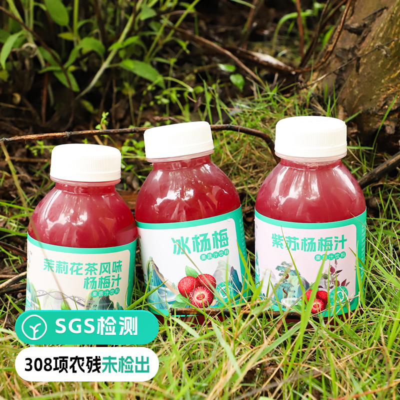 远方的梦想杨梅汁酸甜可口杨梅味浓郁248ml*8瓶多口味0色素0防腐