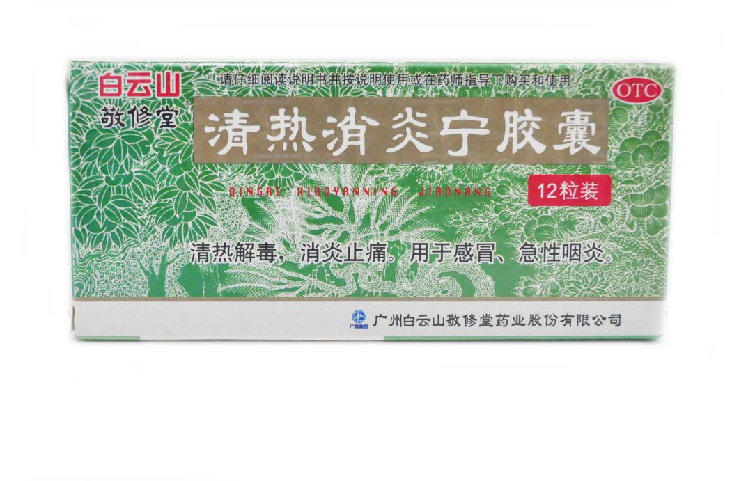 白云山 敬修堂 清热消炎宁胶囊 0.32g*12粒
