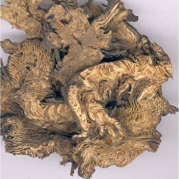 升麻500克中药材正品品升麻片包邮其他药食同源食品