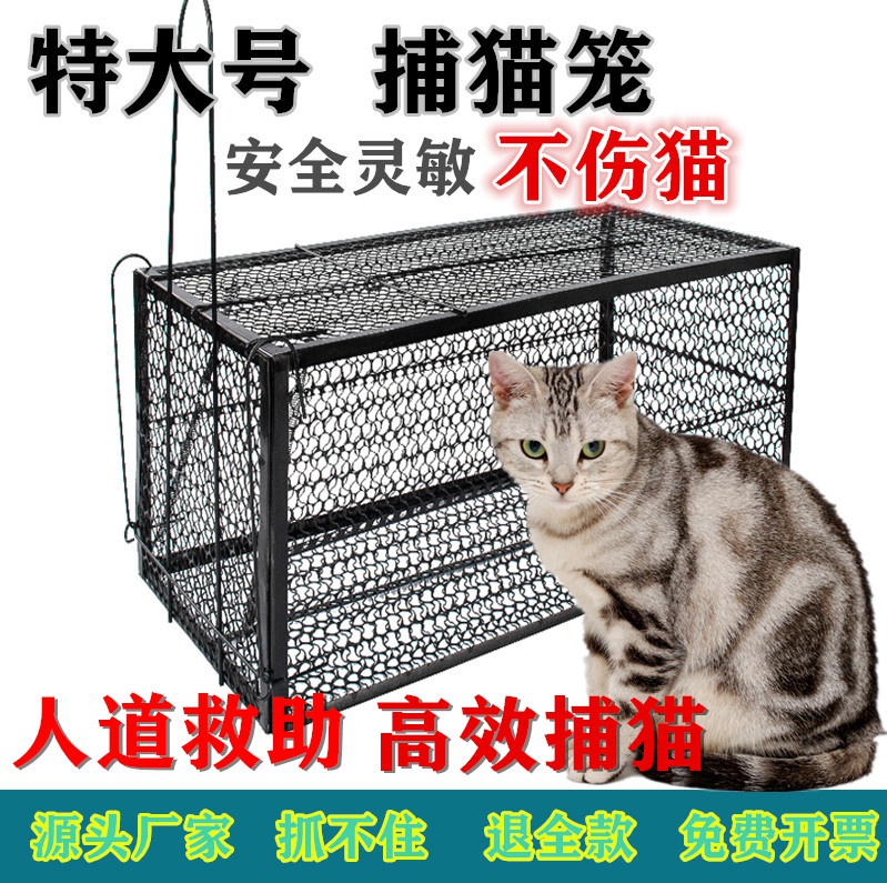 特价捕猫笼子