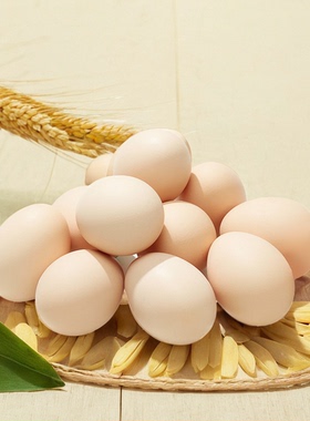 【雷珏】新鲜土鸡蛋农家散养正宗草鸡蛋笨柴鸡蛋柴鸡蛋20枚整箱