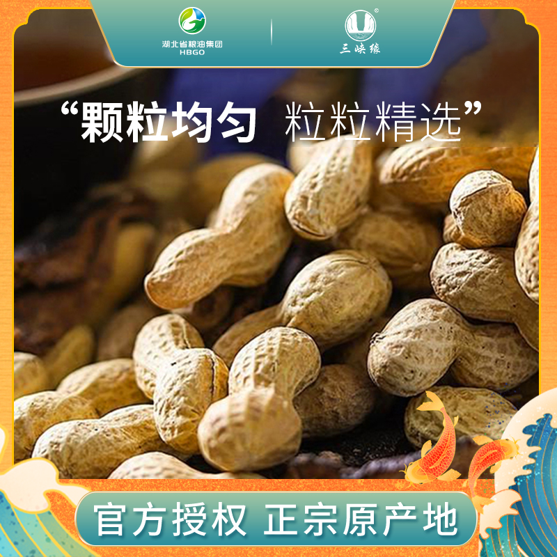 The three gorges Dried tangerine peel peanut 350g specialty Crispy peanut snacks nutin the Tea , Replacement/Flowers/Fruit/Tea reprocessing , Replacement/Herbal Tea category - from Buy2taobao.com to provide professional Taobao agent buy service